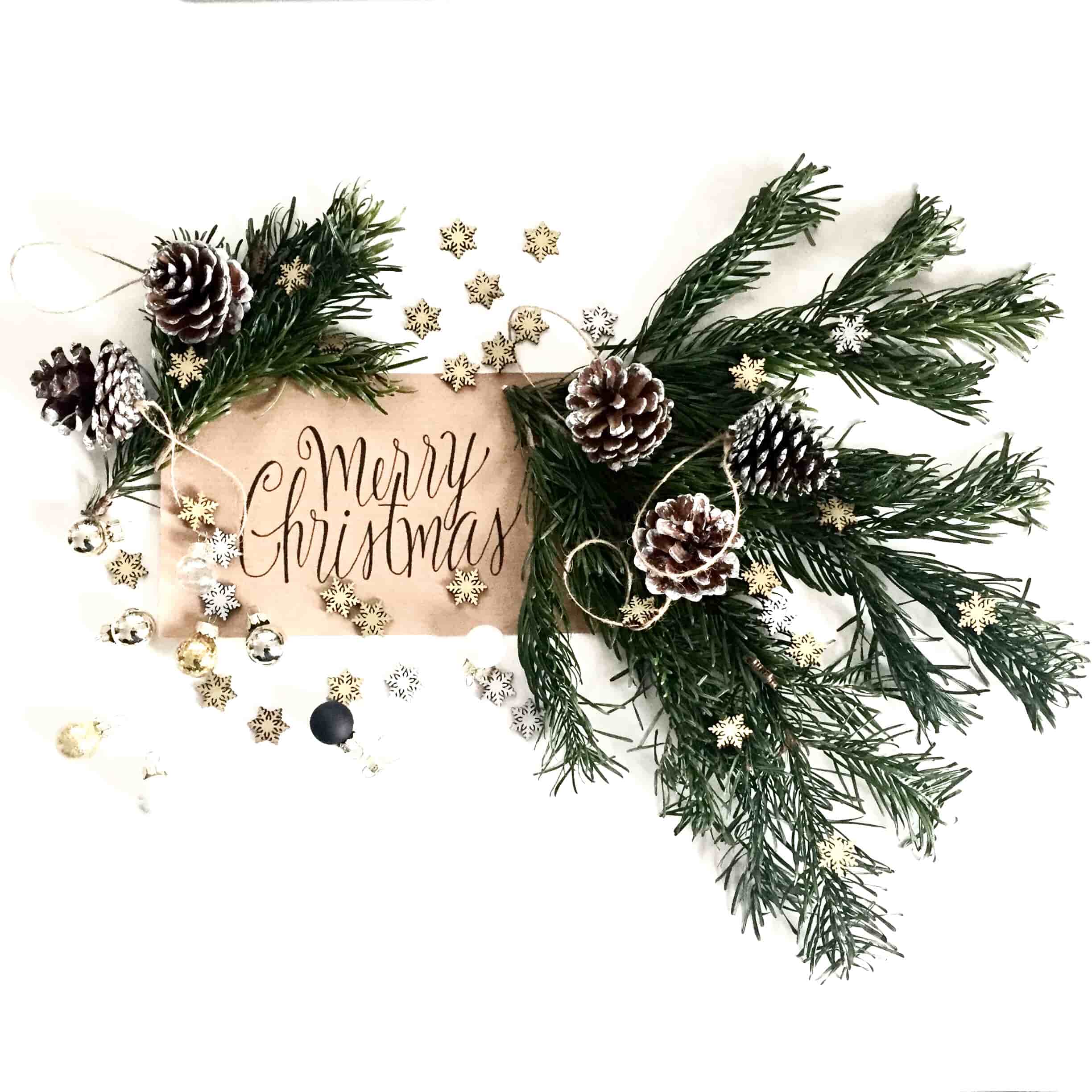 wish you a very Merry Christmas from Furl